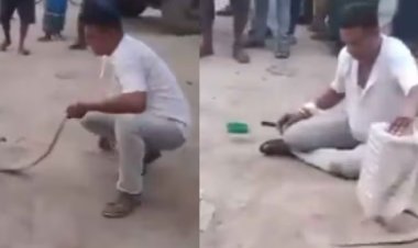 सांप से करतब दिखाते हुए मौत का शिकार बना शख्स, वीडियो हुआ वायरल