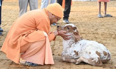 गोबर आधारित कम्पोस्ट व बायोगैस को बढ़ावा दे रही योगी सरकार