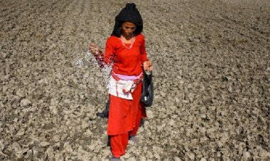 नेपाल में खाद संकट, मदद को आगे आया भारत, 80000 टन रासायनिक डील की चल रही बात