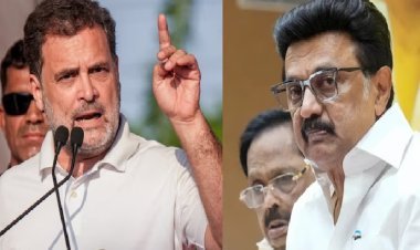 INDIA ब्लॉक खत्म: कांग्रेस ने DMK के साथ गठबंधन तोड़ा, विजय की TVK के साथ हाथ मिलाया