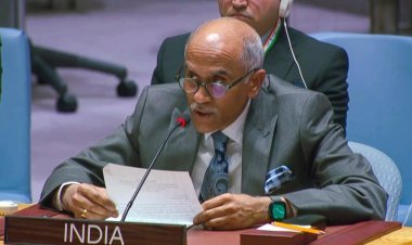 UN में भारत के स्थायी प्रतिनिधि पी हरीश ने पाकिस्तान को सुनाया, इटली के रुख पर भी जताई नाराजगी