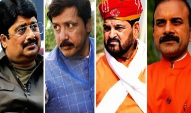 इलाहाबाद हाईकोर्ट ने क्यों मांगा 19 बाहुबलियों का रिकॉर्ड? यूपी में गन कल्चर पर सख्त हुई अदालत