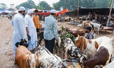 बंगाल में बड़ा फैसला: 14 साल से कम उम्र के किसी भी गोवंश को काटना प्रतिबंधित!