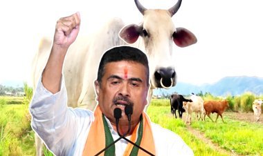बंगाल में 1400 सालों बाद नहीं होगी गौवंश की कुर्बानी, 107 साल बाद कोलकाता में रोड पर नहीं होगी नमाज