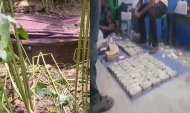 TMC ऑफिस के नीचे कुबेर का खजाना, जमीन में गाढ़े थे करोड़ों रुपये, जानिए कौन है ममता का नटवर लाला?