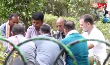 ऑटो ड्राइवर बने राहुल गांधी... ऑटो ड्राइवरों से राहुल गांधी ने की मुलाकात, यूनिफॉर्म पहनी और साथ खाया भोजन