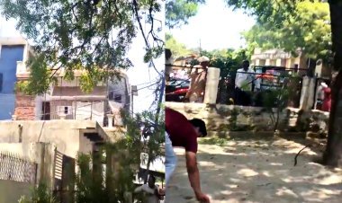 नीम के पेड़ से 500 के नोटों की बारिश ! लूटने लगी भीड़, जानिए कुदरत का है करिश्मा या कुछ और है कहानी ?