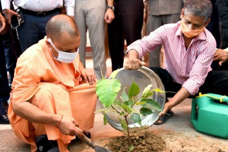 सर्वाधिक पौधरोपण से जलवायु परिवर्तन से जूझ रही दुनिया को रास्ता दिखाएगा यूपी