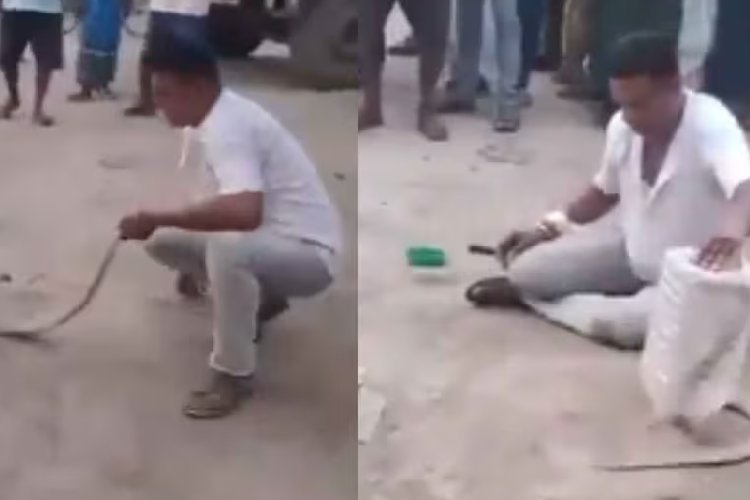 सांप से करतब दिखाते हुए मौत का शिकार बना शख्स, वीडियो हुआ वायरल