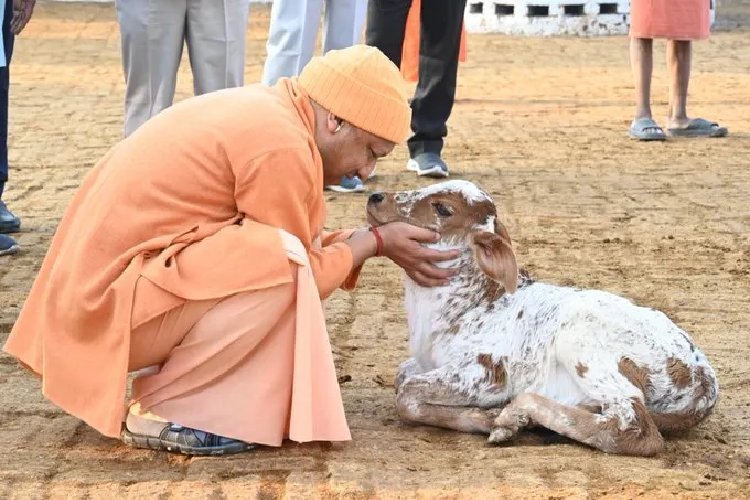 गोबर आधारित कम्पोस्ट व बायोगैस को बढ़ावा दे रही योगी सरकार