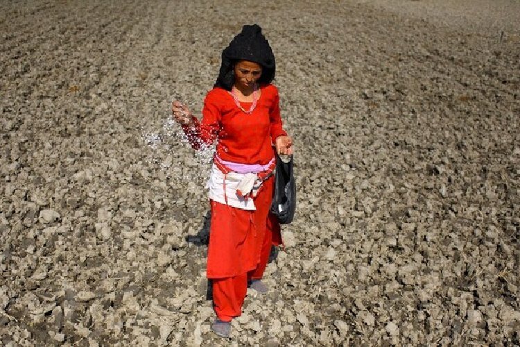 नेपाल में खाद संकट, मदद को आगे आया भारत, 80000 टन रासायनिक डील की चल रही बात
