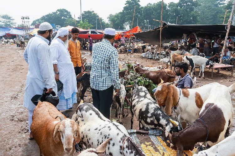 बंगाल में बड़ा फैसला: 14 साल से कम उम्र के किसी भी गोवंश को काटना प्रतिबंधित!