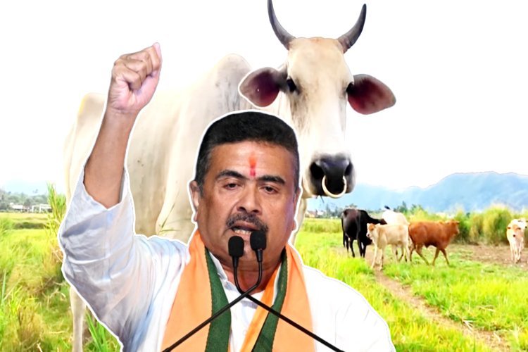 बंगाल में 1400 सालों बाद नहीं होगी गौवंश की कुर्बानी, 107 साल बाद कोलकाता में रोड पर नहीं होगी नमाज