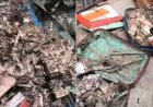 टीएमसी छात्र यूनियन ऑफिस से सूटकेस भरकर मिले जले-गले करोड़ों रुपए