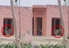 बुलंदशहर में तनाव, हनुमान मंदिर परिसर में नमाज पढ़ने का वीडियो वायरल, 3 लोगों पर FIR