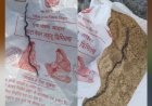 गर्भवती महिला को आंगनवाड़ी से मिले लड्डू के पैकेट में निकला मरा हुआ सांप! पूरे इलाके में हड़कंप