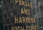 परिवार को बदनाम कर रहे हो! हाई कोर्ट ने घर से भागकर लिव-इन में रह रहे जोड़े को सुरक्षा देने से किया इनकार