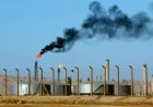 सऊदी नेतृत्व वाले तेल कार्टेल को बड़ा झटका, UAE के बाद अब इराक भी OPEC छोड़ने को तैयार!