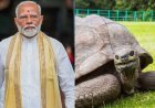 सेशेल्स की भूमि पर 194 साल के कछुए जोनाथन से मुलाकात करेंगे पीएम मोदी