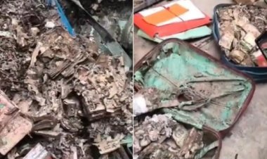 टीएमसी छात्र यूनियन ऑफिस से सूटकेस भरकर मिले जले-गले करोड़ों रुपए