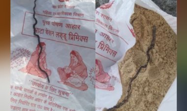 गर्भवती महिला को आंगनवाड़ी से मिले लड्डू के पैकेट में निकला मरा हुआ सांप! पूरे इलाके में हड़कंप