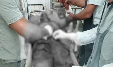 कर्नाटक: ऑनलाइन गेमिंग की लत ने परिवार किया बर्बाद, नाबालिग ने माता, पिता और बहन को चाकू मारा, पिता और बहन की मौत
