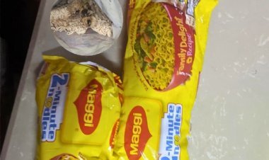 मैगी में फिर कीड़ा, FSSAI ने नेस्ले को थमाया नोटिस, शेयर 3% टूटा