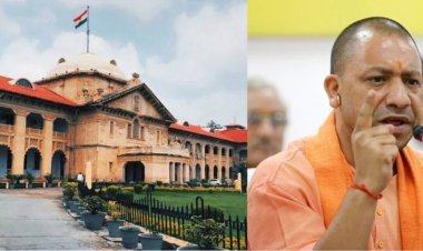 इलाहाबाद हाईकोर्ट का फैसला: प्रधानों के प्रशासक बनने पर रोक, मांगी पंचायत चुनाव की टाइमलाइन