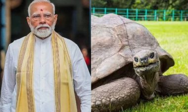 सेशेल्स की भूमि पर 194 साल के कछुए जोनाथन से मुलाकात करेंगे पीएम मोदी