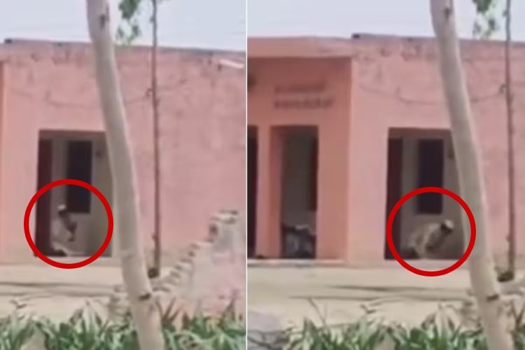 बुलंदशहर में तनाव, हनुमान मंदिर परिसर में नमाज पढ़ने का वीडियो वायरल, 3 लोगों पर FIR