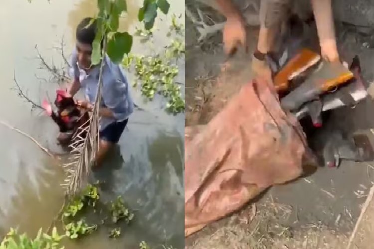 तालाब के अंदर पानी में डुबोकर रखे गए थे AK-47 और बारूद! बंगाल STF ने किया बरामद