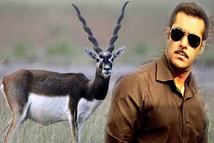सलमान खान vs काला हिरण फिल्म: दिल्ली हाईकोर्ट ने मेकर अमित जानी को जारी किया नोटिस, रिलीज पर लग सकती है रोक