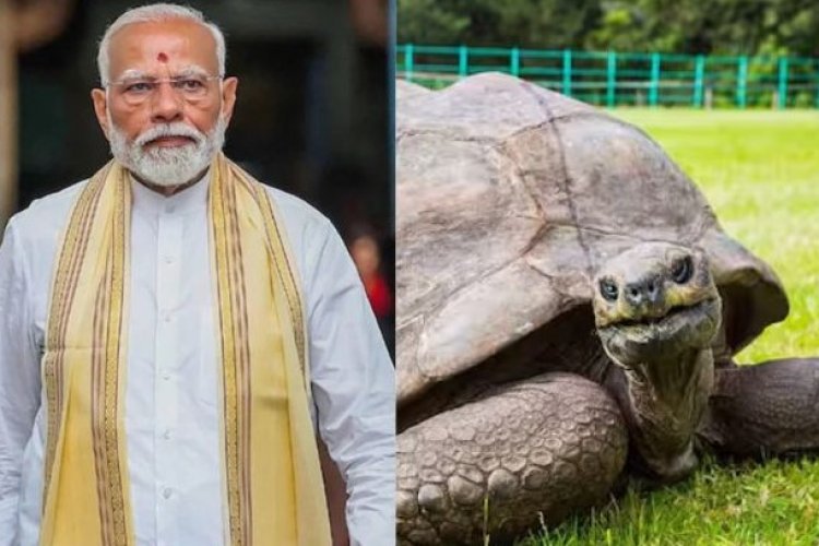सेशेल्स की भूमि पर 194 साल के कछुए जोनाथन से मुलाकात करेंगे पीएम मोदी