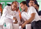 महाराष्ट्र में बड़ा सियासी भूकंप! कांग्रेस और शरद पवार की NCP में विलय की चर्चा, MVA की एकता पर सवाल