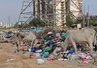 AI से फर्जी सफाई का फोटो, GPS हैक कर घर बैठे हाजिरी! गुरुग्राम नगर निगम के 4 'स्मार्ट' कर्मचारी बर्खास्त