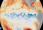 प्रशांत महासागर में 14,500 किमी लंबी ‘मॉन्स्टर वेव’! NASA सैटेलाइट ने पकड़ी, 2026 में आ रहा 'सुपर एल-नीनो'