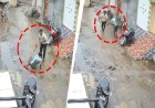 राजकोट में बेटे ने मां के लिव-इन पार्टनर को सड़क पर दौड़ाकर मारा चाकू, CCTV में कैद भयानक वीडियो