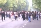 दिल्ली में कॉकरोचों का हिंसक प्रदर्शन, कनॉट प्लेस पर पथराव-तोड़फोड़, संसद मार्च बिगड़ा