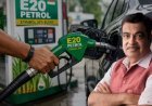 E20 पेट्रोल विवाद में नितिन गडकरी का बड़ा एक्शन, बॉम्बे हाईकोर्ट में दायर की याचिका