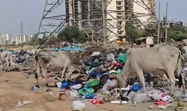 AI से फर्जी सफाई का फोटो, GPS हैक कर घर बैठे हाजिरी! गुरुग्राम नगर निगम के 4 'स्मार्ट' कर्मचारी बर्खास्त