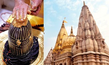 अयोध्या के बाद काशी में बड़ा बवाल! वकीलों ने विश्वनाथ मंदिर में चढ़ावा और अधिकारी व कर्मचारियों की संपत्ति की जांच की मांग