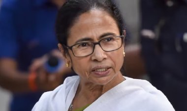 TMC को राहत! कलकत्ता हाईकोर्ट ने फ्रोजन बैंक खातों को संचालित करने की दी अनुमति, स्पेशल ऑफिसर की निगरानी में चलेगा काम