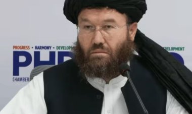 अफगानी मंत्री के बयान से फुंकी पाकिस्तान की लंका! भारत-अफगानिस्तान पर बोली बहुत बड़ी बात