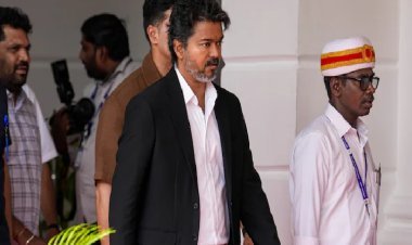 सुप्रीम कोर्ट का बड़ा फैसला! तमिलनाडु में गाय-बछड़ों की हत्या पर 'पूर्ण प्रतिबंध' फिलहाल टला