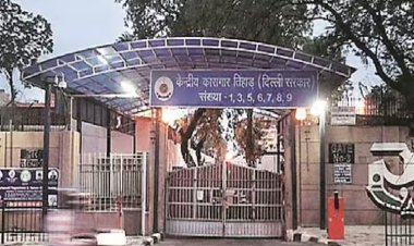 तिहाड़ जेल में अमेरिकी कैदी का अनोखा अनुरोध, खुद खाना बनाने की मांग पर कोर्ट पहुंचा मामला