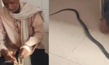 उत्तर प्रदेश से हैरान करने वाला मामला आया सामने, मरे हुए सांप को लेकर युवक पहुँचा अस्पताल