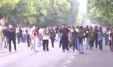 दिल्ली में कॉकरोचों का हिंसक प्रदर्शन, कनॉट प्लेस पर पथराव-तोड़फोड़, संसद मार्च बिगड़ा