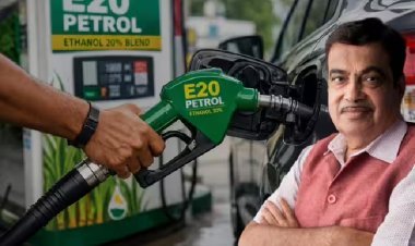 E20 पेट्रोल विवाद में नितिन गडकरी का बड़ा एक्शन, बॉम्बे हाईकोर्ट में दायर की याचिका