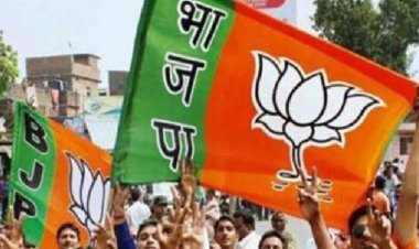छत्तीसगढ़ बीजेपी में भारी बगावत! डोंगरगढ़ में 111 पदाधिकारियों-कार्यकर्ताओं ने एक साथ दिया इस्तीफा