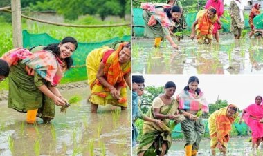 मजदूरों के साथ धान रोपने लगीं वैशाली की डीएम, वीडियो वायरल
